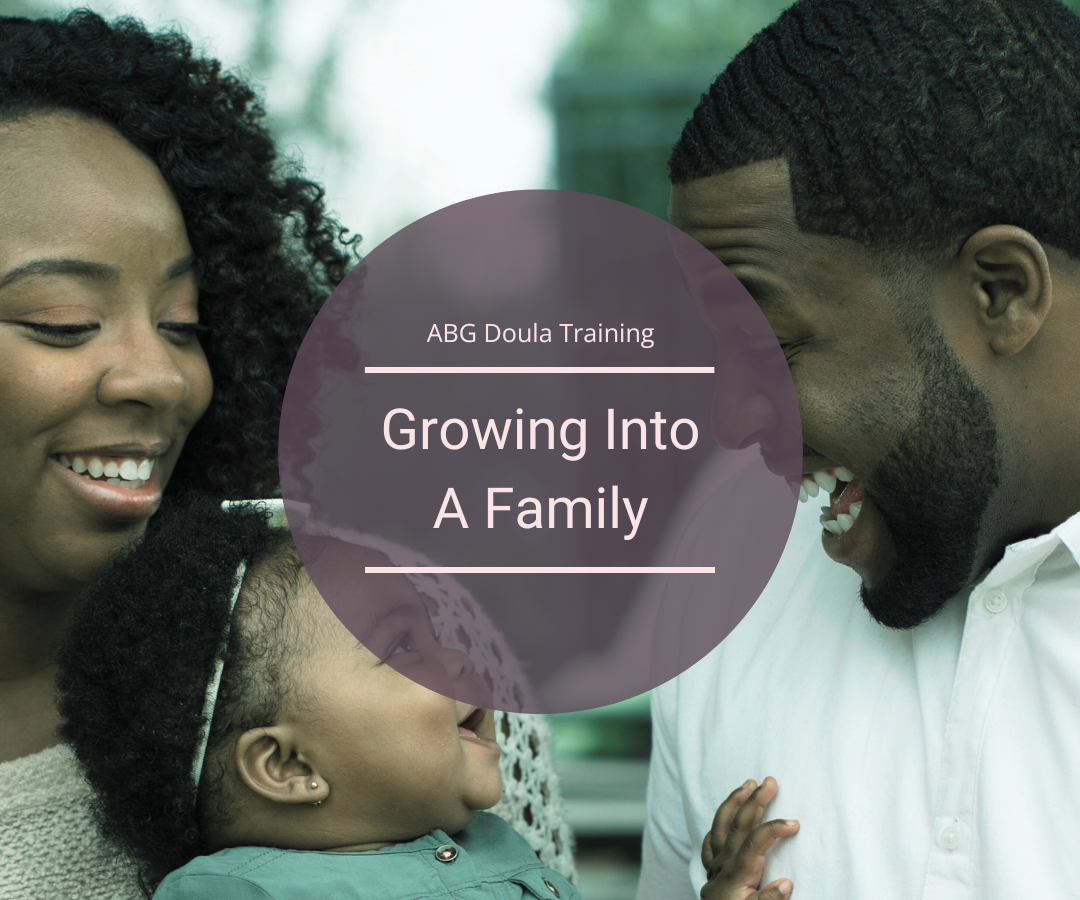 ABG Postpartum Doula Training book list - module: Growing Into A Family