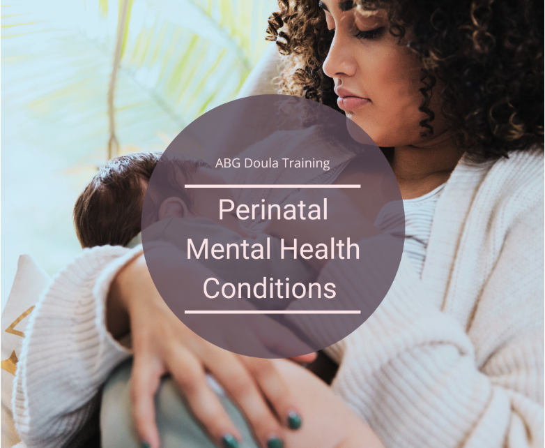 ABG Postpartum Doula Training book list - module: postpartum mood disorders