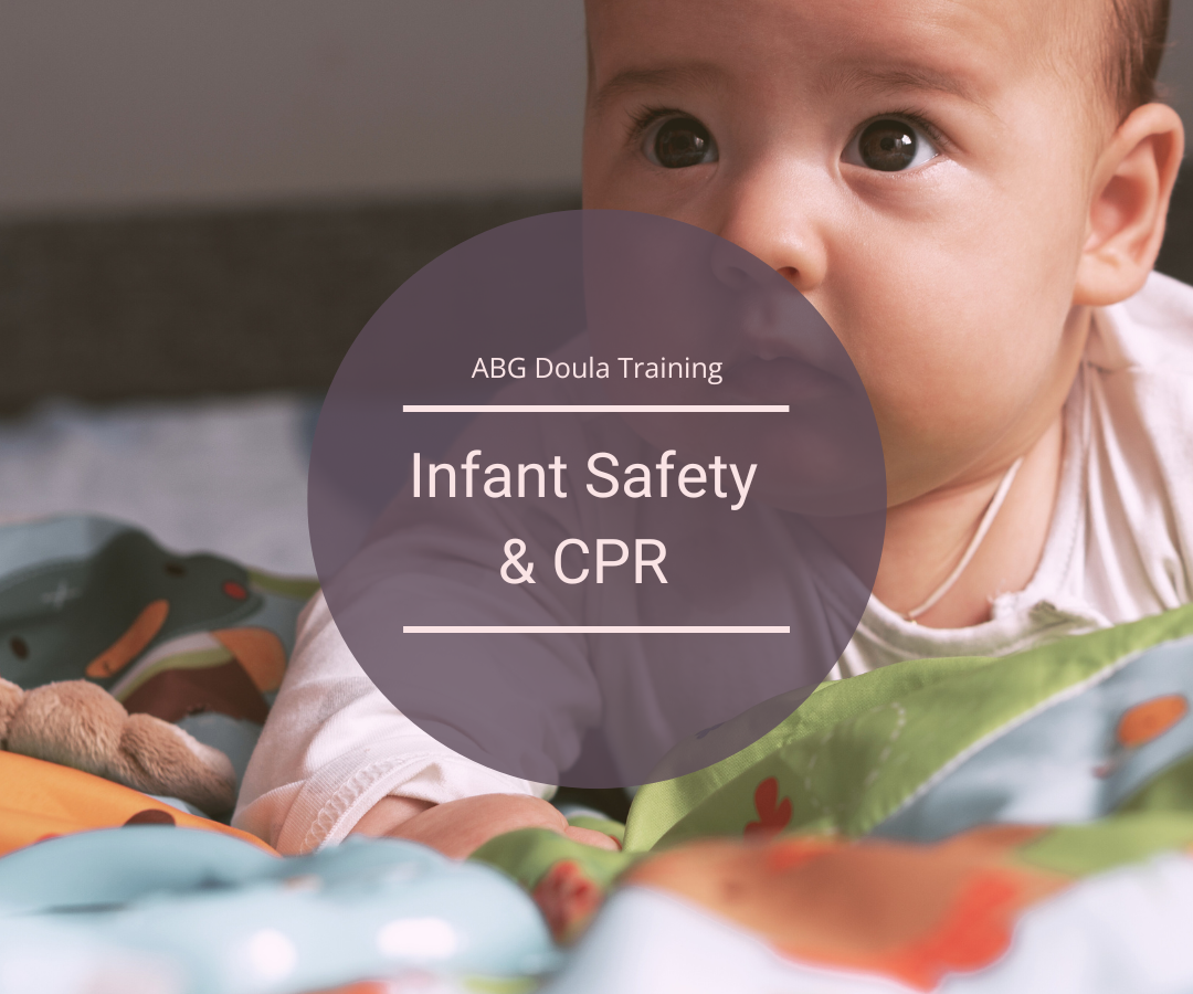 ABG Postpartum Doula Training book list - Infant Safety / CPR