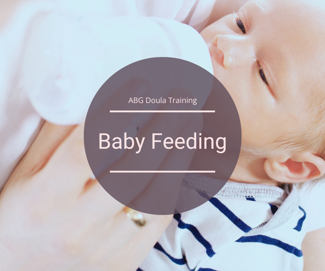ABG Postpartum Doula Training book list - module: baby feeding