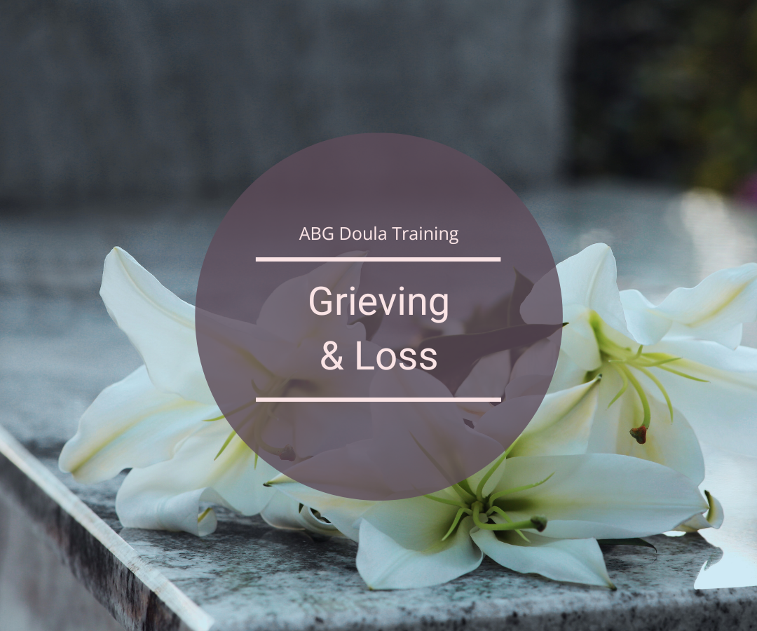 ABG Postpartum Doula Training book list - module: grieving and loss