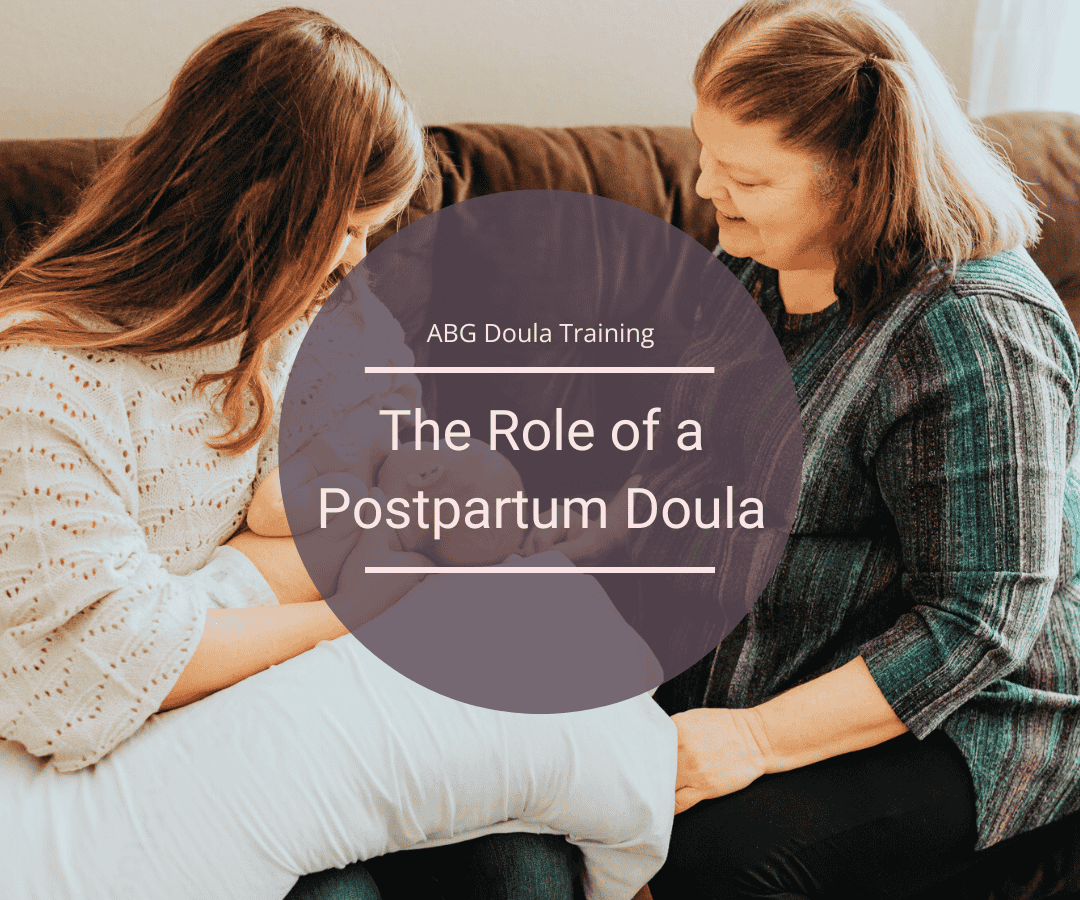 The Role of a Postpartum Doula - Working with the Family and Business Skills
