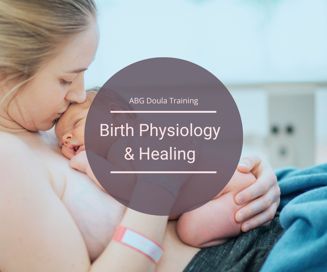 ABG Postpartum Doula Training book list - module: Birth Physiology & Healing